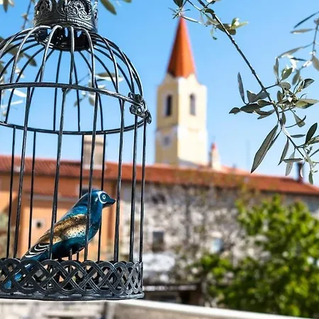 Dreamer's House With A Swimming Pool In Istria Apartment