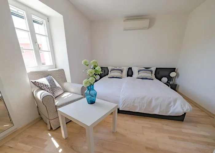 Apartment Dreamer's House With A Swimming Pool In Istria Brtonigla